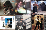 STEVIE RAY VAUGHAN AND DOUBLE TROUBLE:  THE INSTRUMENTAL COLLECTION