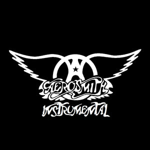 AEROSMITH: INSTRUMENTAL - 37 AUTHENTIC ORIGINAL STUDIO VOCAL BACKING TRACKS