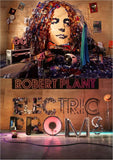 ROBERT PLANT: ELECTRIC PROMS (2010)